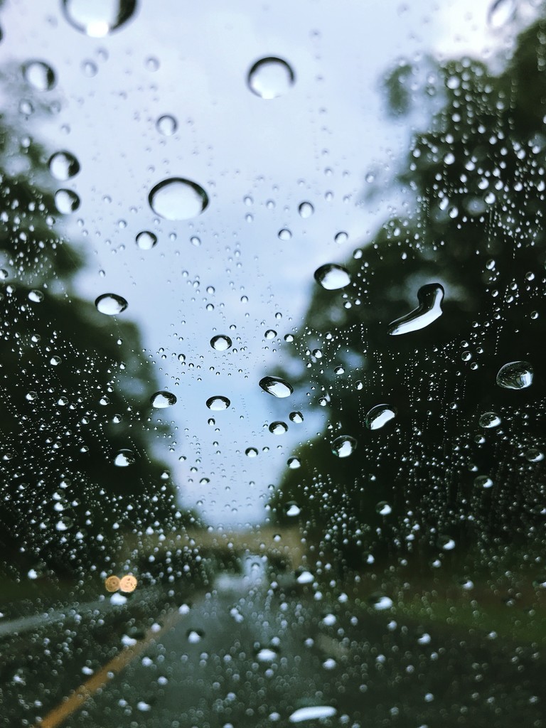 Day 355:  Rain In The Summertime  by sheilalorson