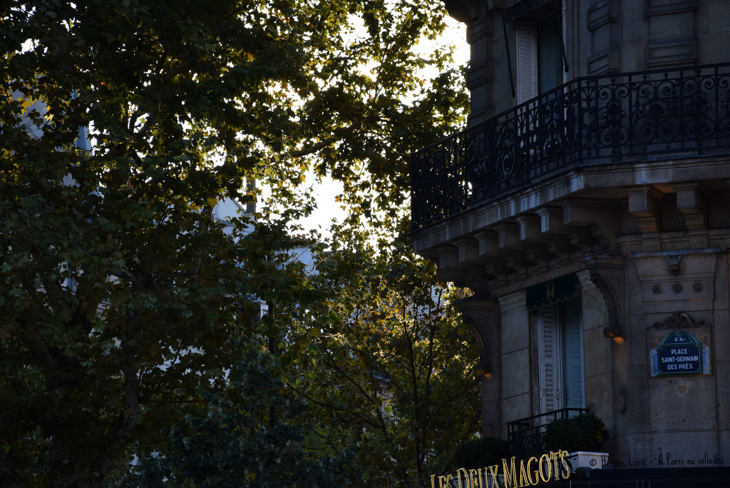 iconic Saint Germain by parisouailleurs