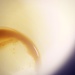 Coffee by naomi