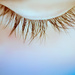 Gage's Lashes by kwind