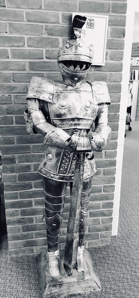 Our Library Knight is Going Traveling by allie912