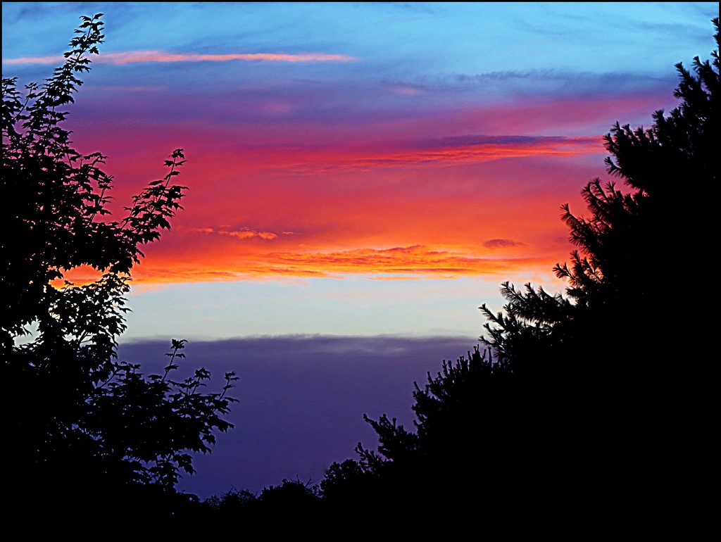 Sunset Stripes by olivetreeann