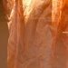 Soft orange by steveandkerry