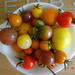 tomatoes by arthurclark