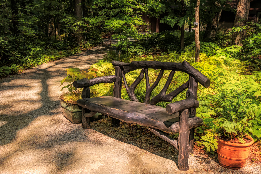 bench in the garden in woods by jernst1779