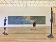 8th Sep 2018 - Monet and Tinguely. 