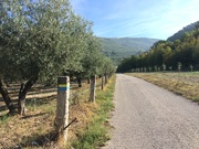 9th Sep 2018 - Spello - Assisi 