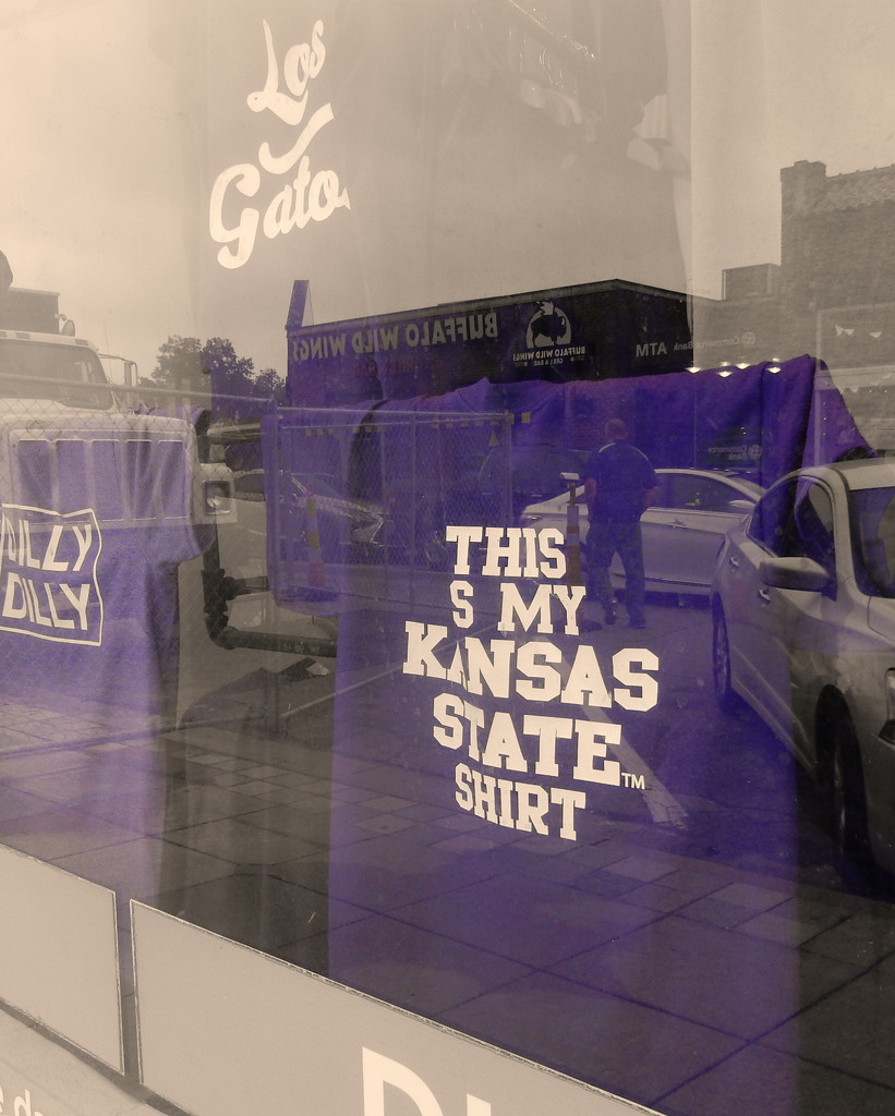 "This is my Kansas State Shirt" by mcsiegle