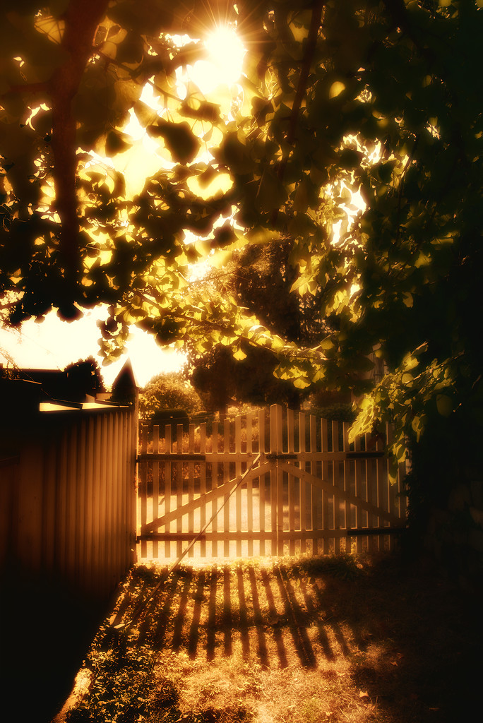 my garden gate by jerome