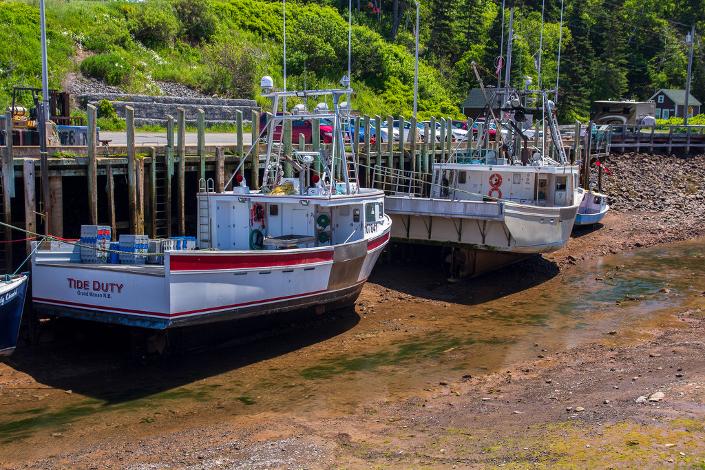 Low Tide In Hall's Harbour, Nova Scotia by swchappell