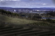 11th Sep 2018 - Canberra city from the Arboretum