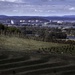 Canberra city from the Arboretum by pusspup