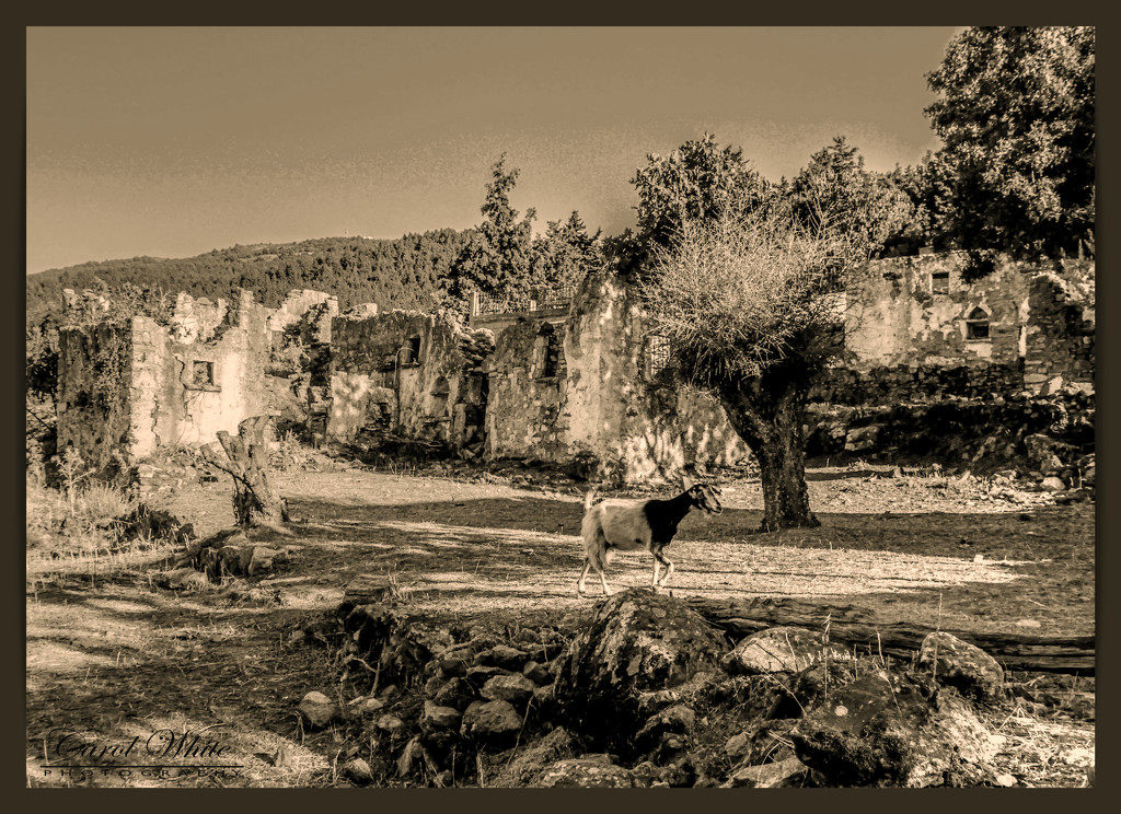 Haihoutes,Deserted Village (best viewed on black) by carolmw