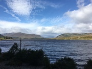 11th Sep 2018 - Blustery day