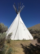6th Sep 2018 - Typee in Bannack State Park, Montana