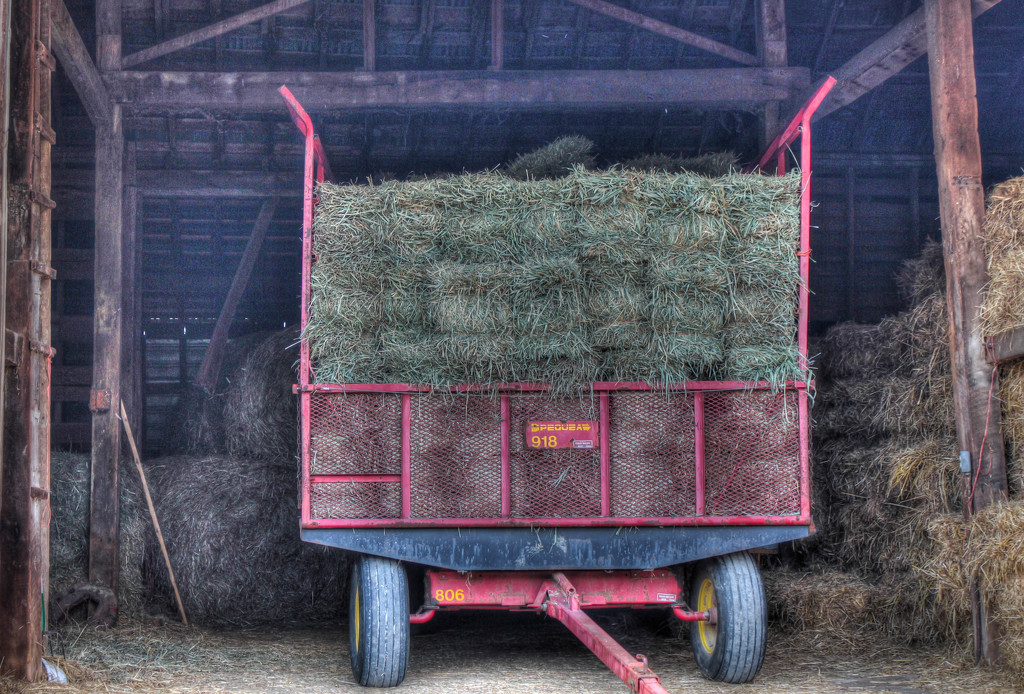 Storing hay by mittens