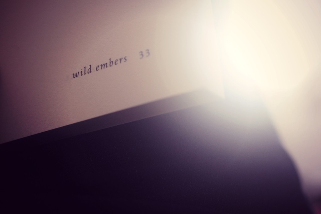 Wild Embers by naomi
