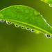 droplets by jernst1779