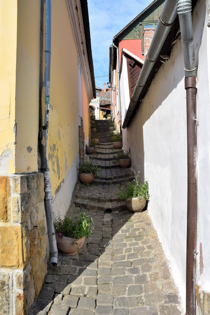  Typical small street by kork