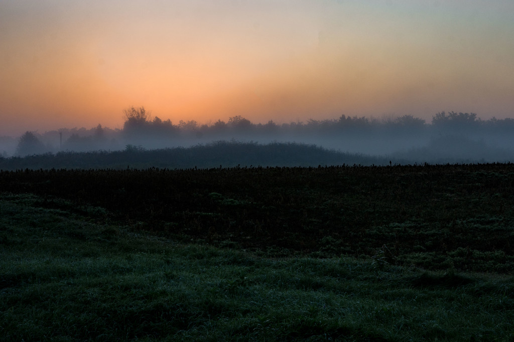 Foggy Layers by farmreporter