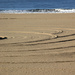 Sand Circles by jaybutterfield