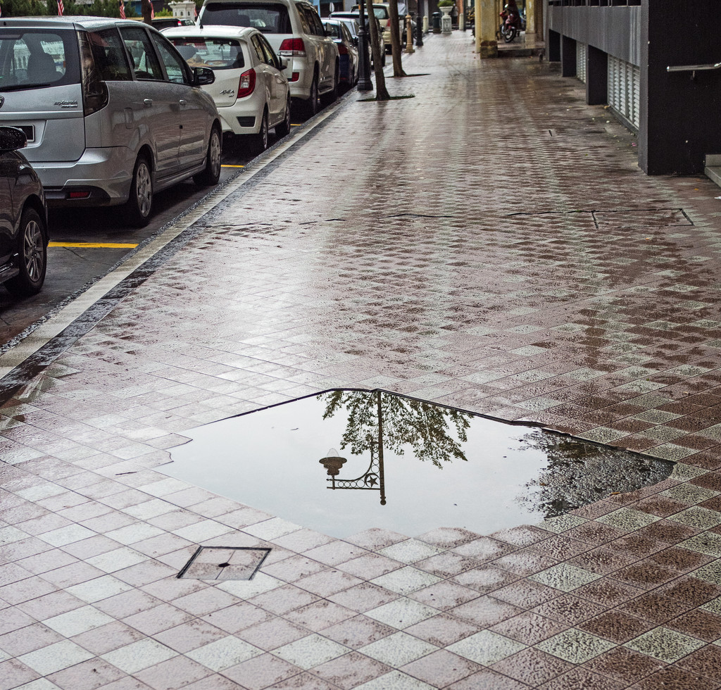 Rainy Reflection by ianjb21