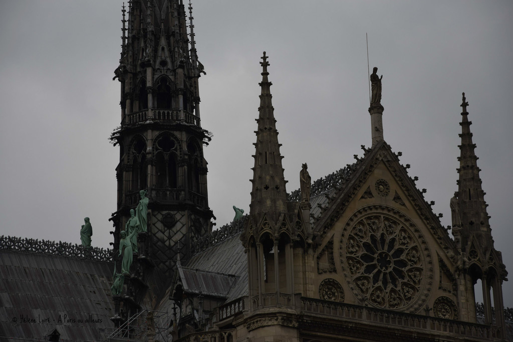 Notre Dame detailed  by parisouailleurs