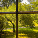 wayside window by jernst1779