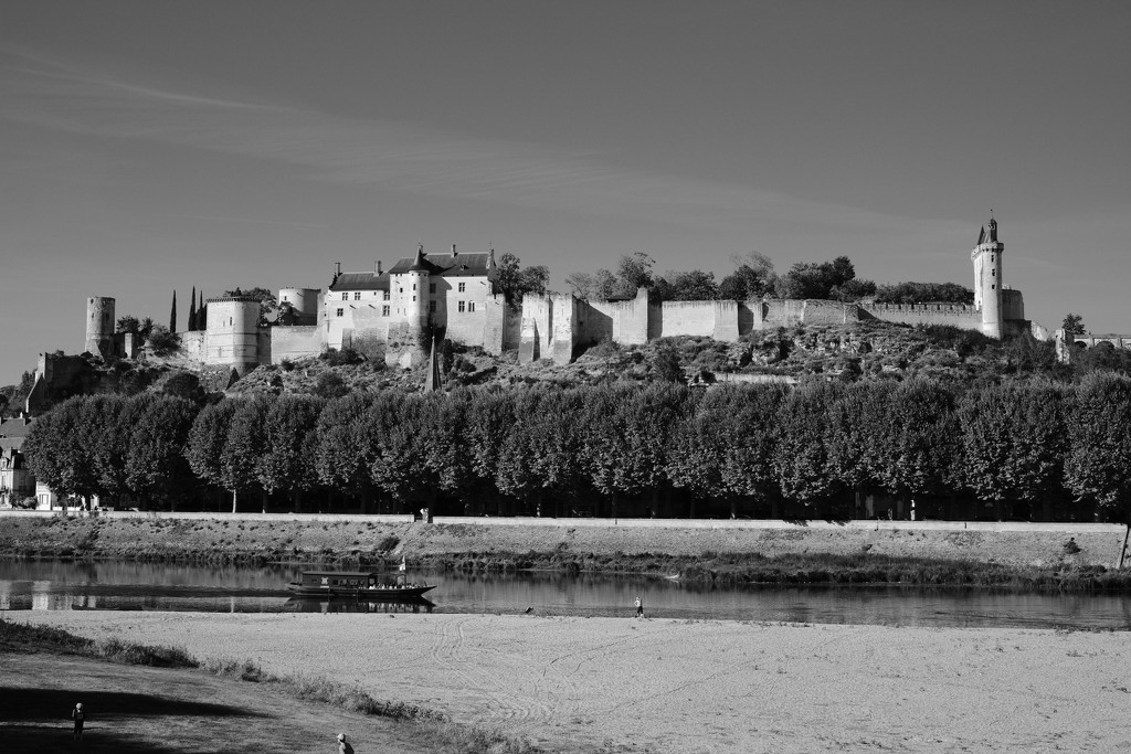 NF-SOOC-2018 - Day 15: Château de Chinon by vignouse
