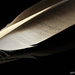 feather1 refelctions by samae