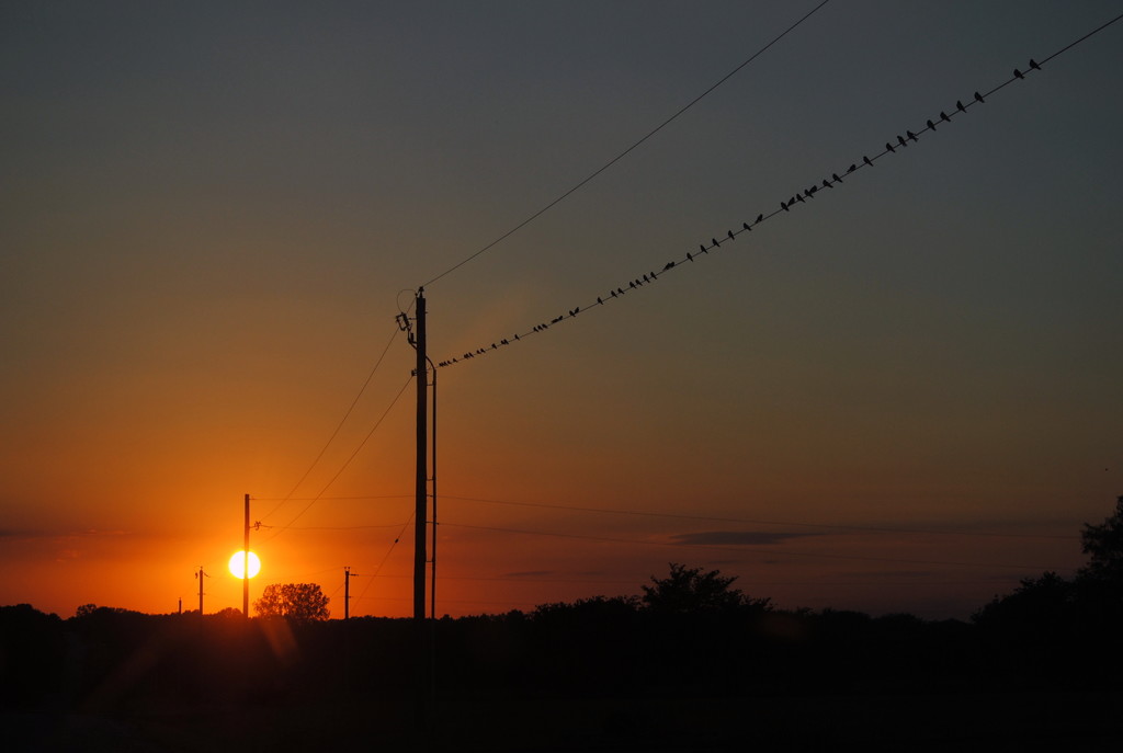 Birds'Eye-View of the Sunset by genealogygenie