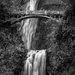 Multnomah Falls by rosiekerr