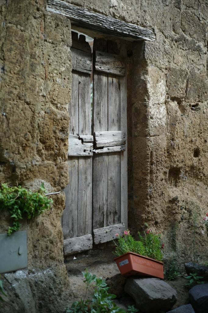Wooden door by domenicododaro