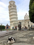 17th Sep 2018 - Pisa