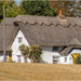Thatch by mave