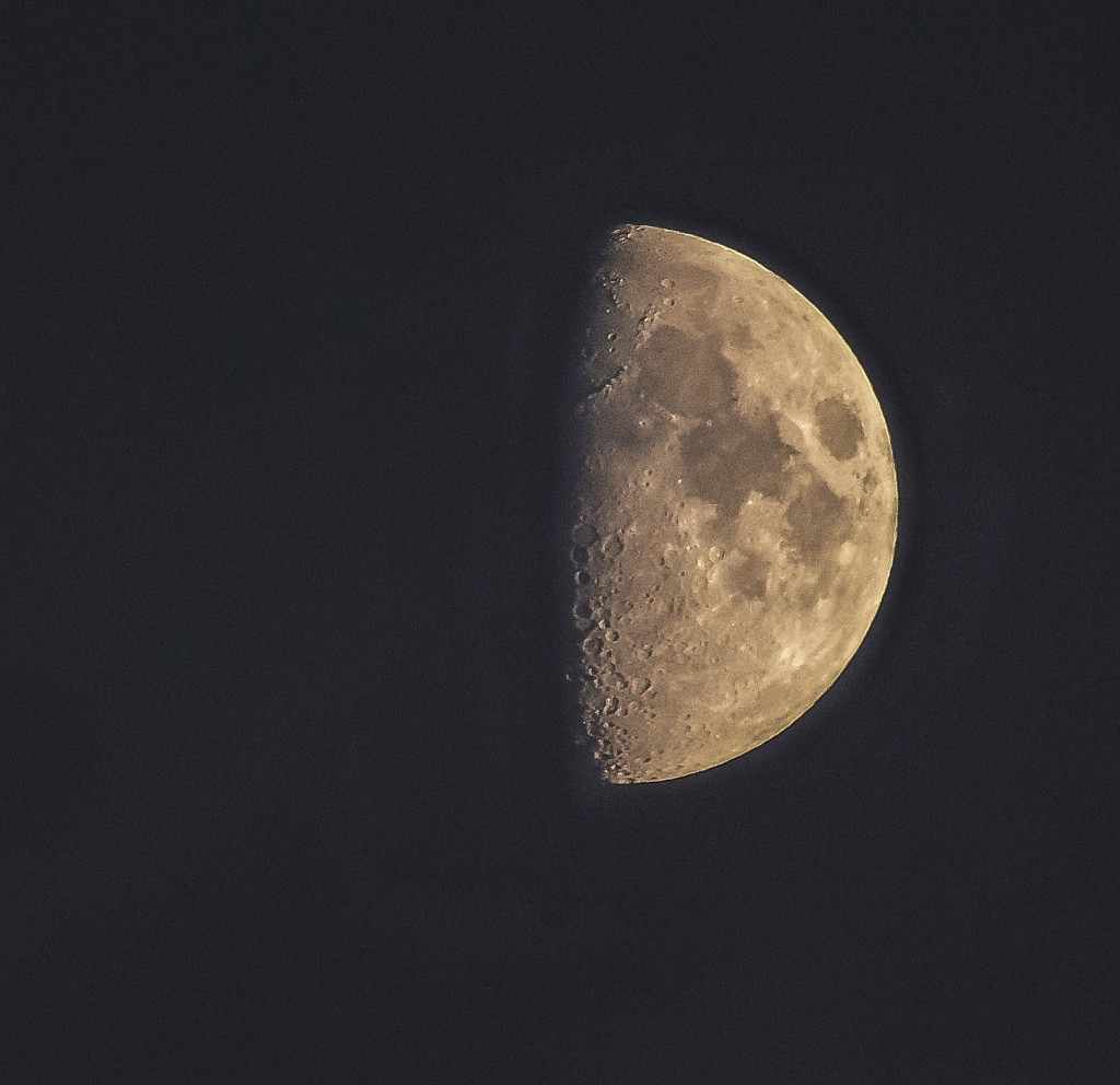 The Moon by tonygig
