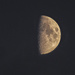 The Moon by tonygig