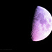 why is my moon purple? by summerfield