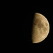 Half a moon by 365anne