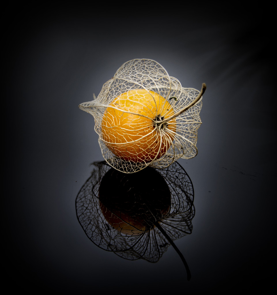 Another playing with the gooseberry by rustymonkey