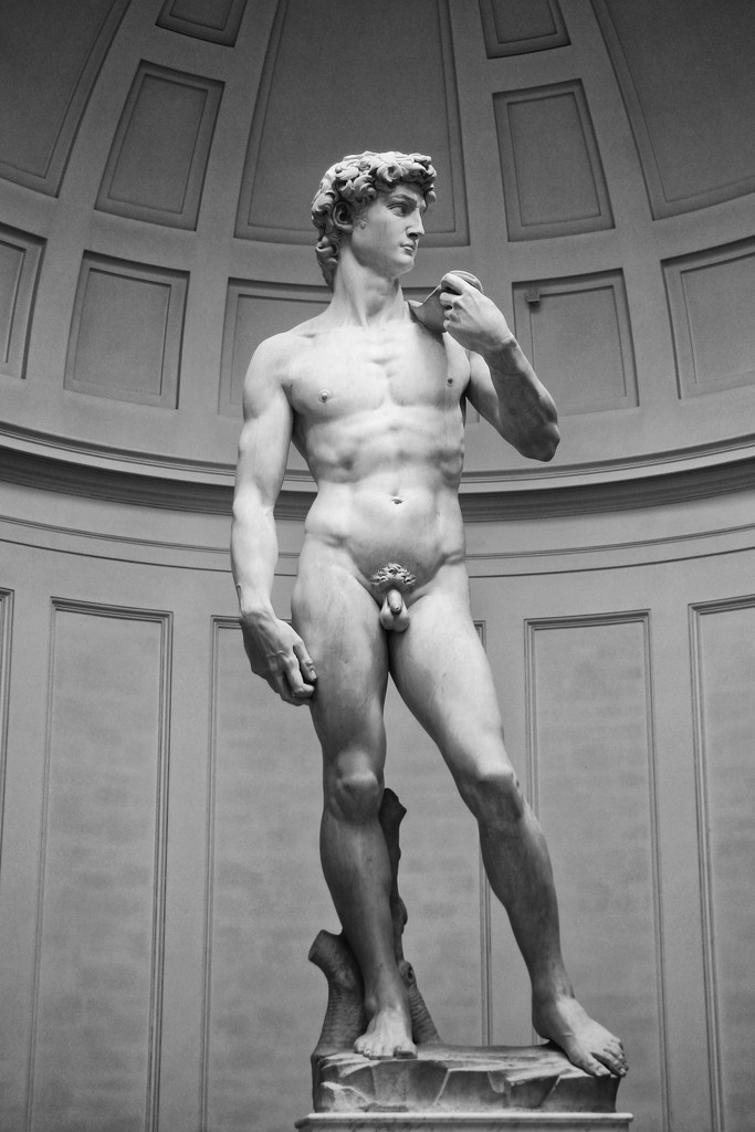 Michelangelo's David by jamibann