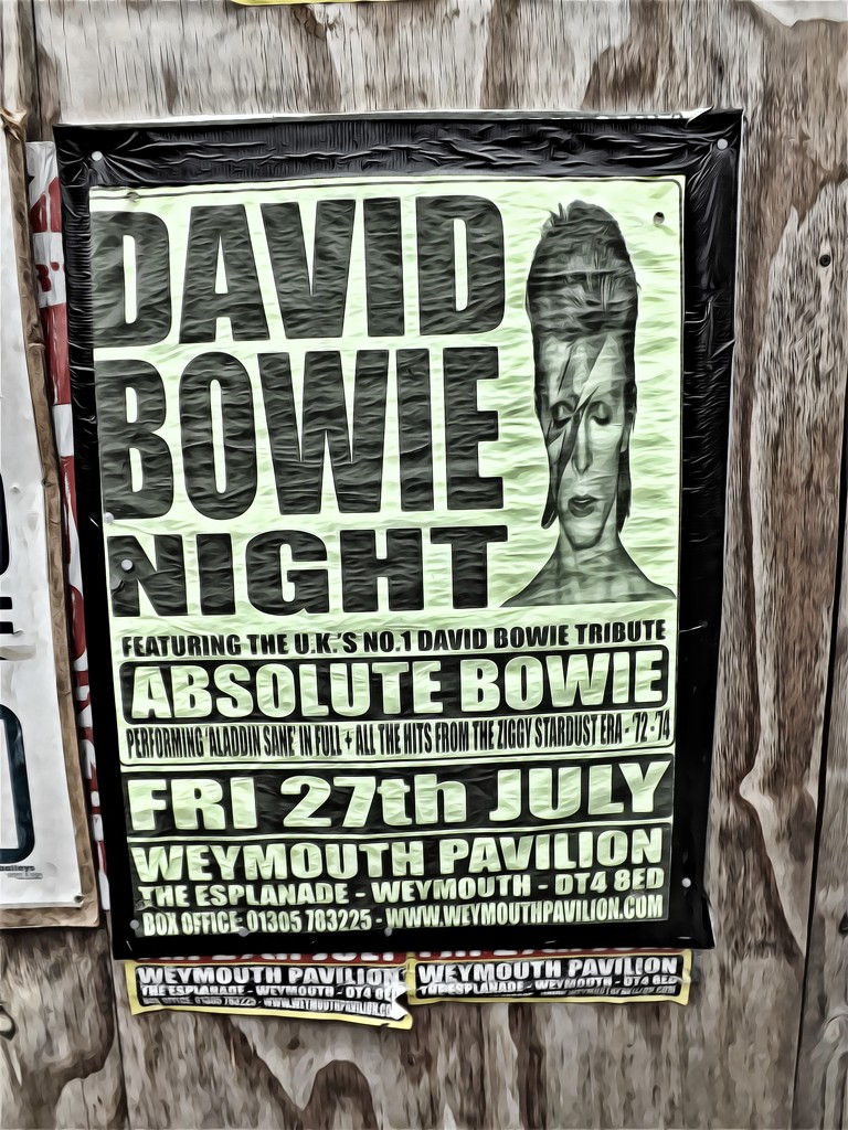 Past Posters #2 - Absolute Bowie by ajisaac