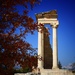 Temple of Apollo by carole_sandford