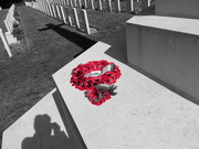 20th Sep 2018 - in the Military Cemetery