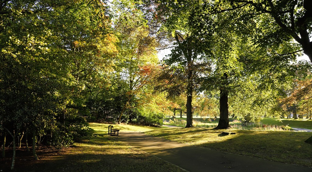 Duthie Park, Aberdeen by lifeat60degrees