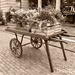 Hand cart  by 365projectdrewpdavies