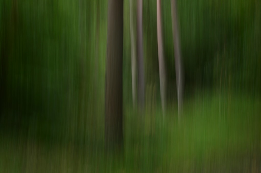 ICM for Nifty Fifty Challenge by fbailey