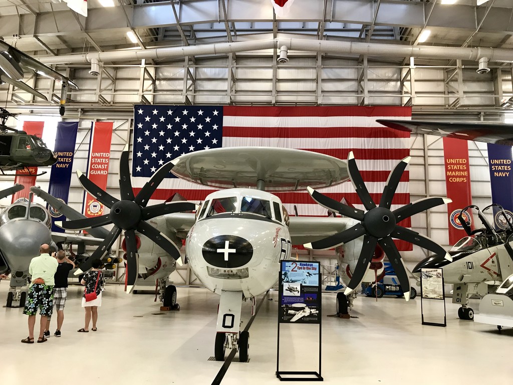 The E-2C Hawkeye by louannwarren