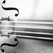 My cello by yaorenliu
