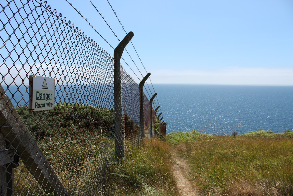 31st July Lulworth Ranges by valpetersen